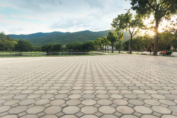 Best Permeable Paver Driveway  in Newbern, TN